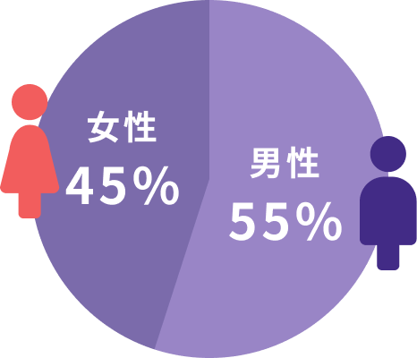 新卒男女比率のグラフ