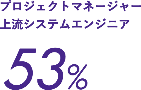 プロジェクトマネージャー上流システムエンジニア53%